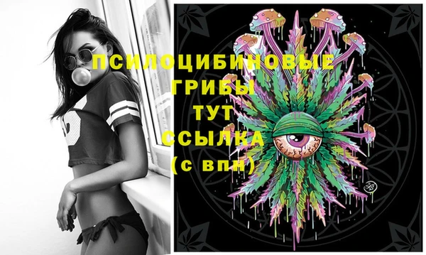 спиды Снежинск
