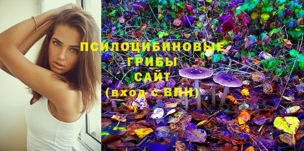 jwh Снежногорск